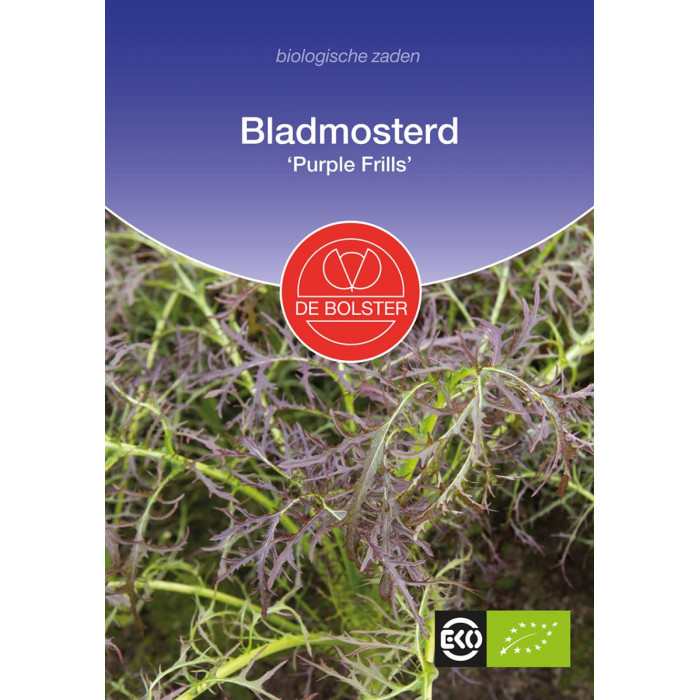 Purple Frill Mustard-Bladmosterd 'Purple Frills'-BS1035