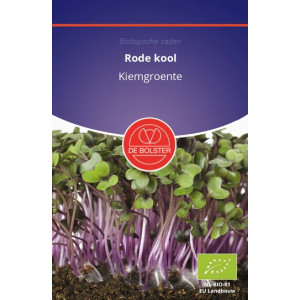 Cabbage Red-Rode kool -...