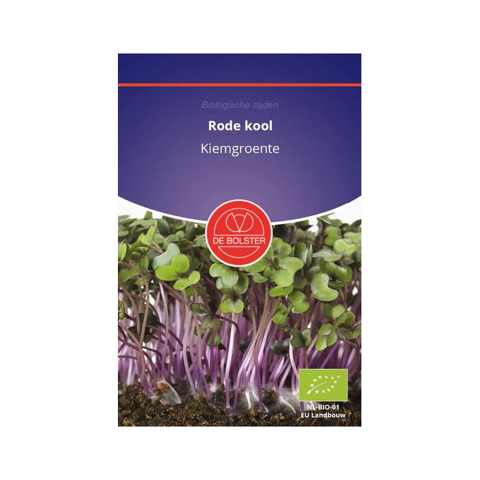 Cabbage Red-Rode kool - Kiemgroente Brassica oleracea-BS9045