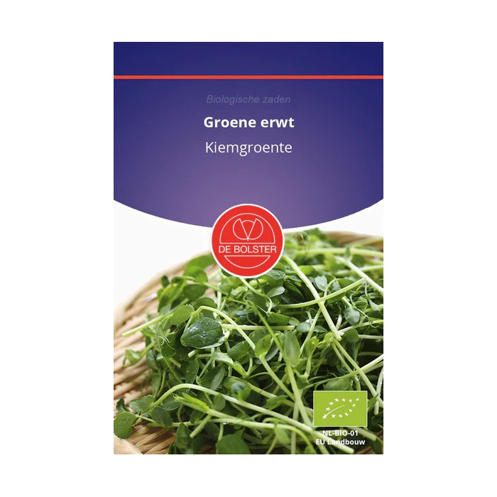 Zeleni grašak-Green pea - Sprouts Pisum sativum-BS9036
