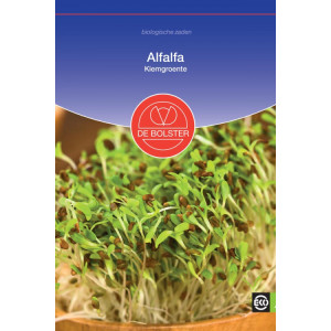Alfalfa - Sprouting...