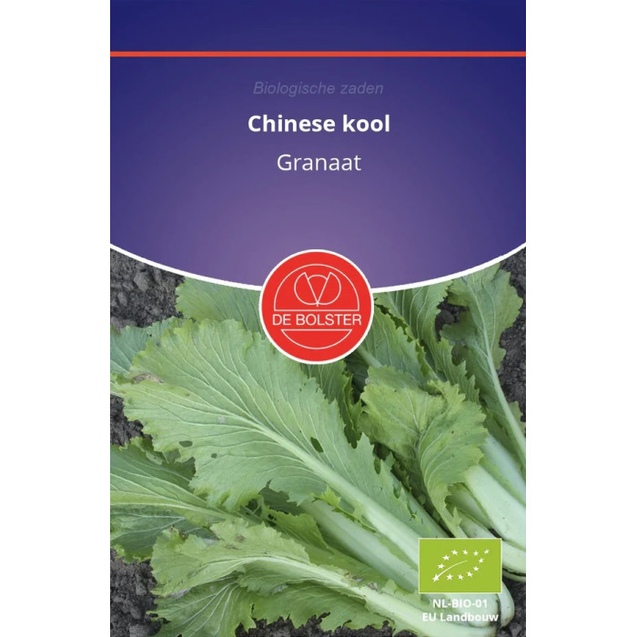 Chinese cabbage-Chinese-kool-Granaat-BS1470