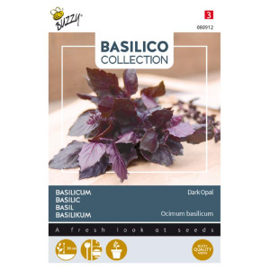 Basil-dark red-Basilicum...