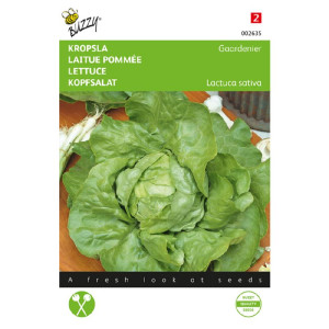 Salata-pozna-Head lettuce...