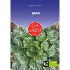 Tatsoj-Tatsoi Brassica...