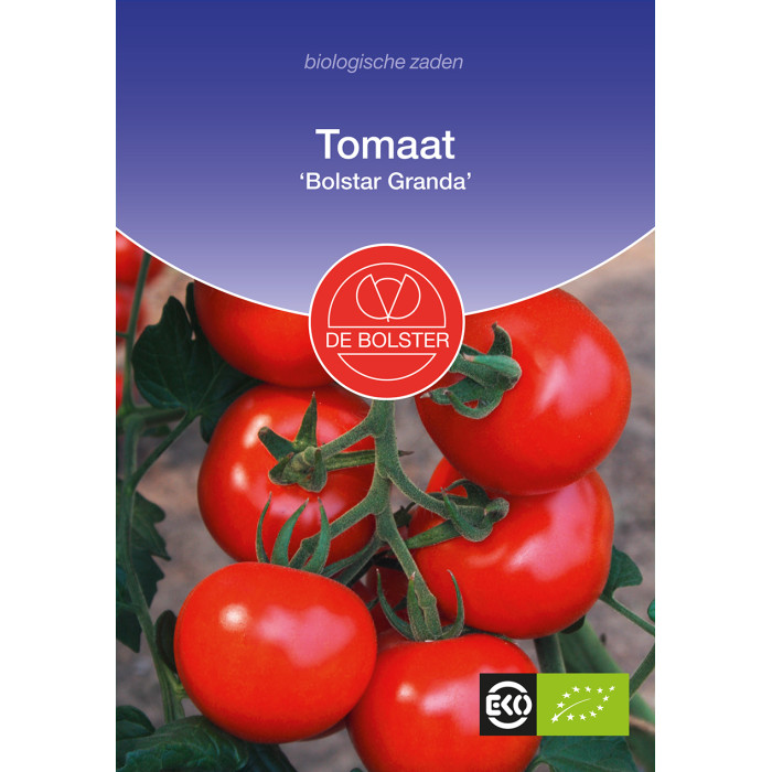Tomato-Tomato 'Bolstar Granda' Solanum lycopersicum-BS1945