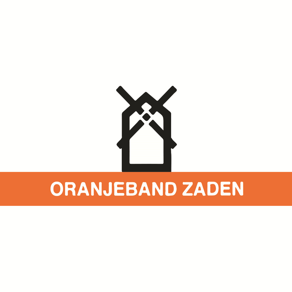 OranjeBand